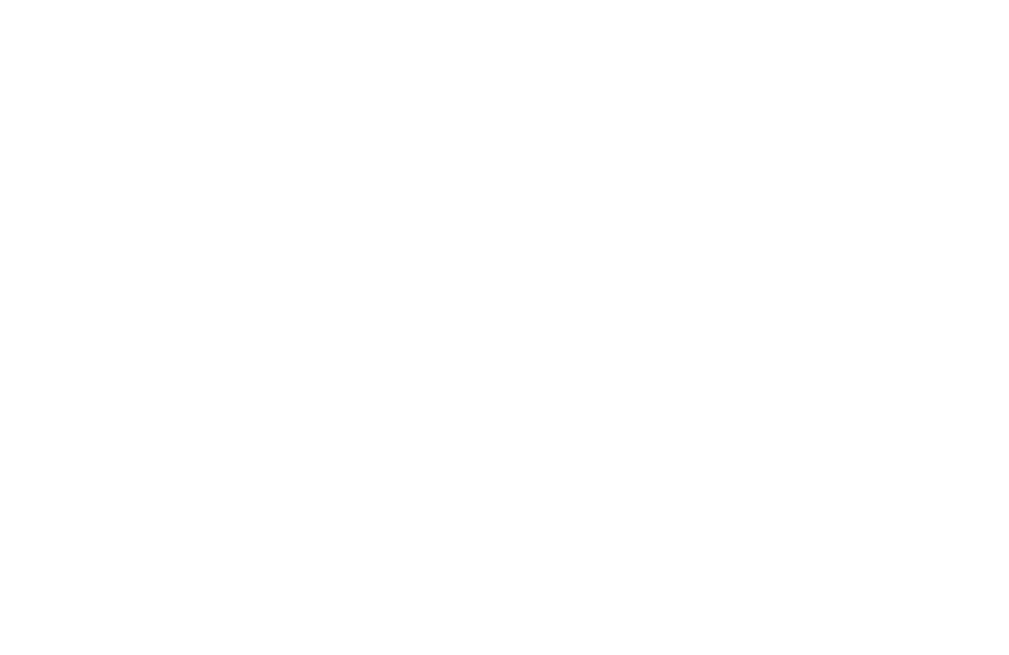 名物 冷たい肉そば
